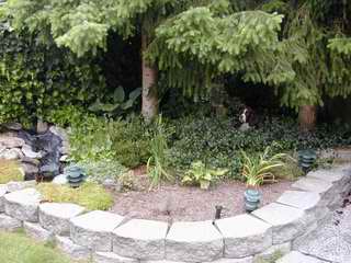 Where's Moosh?