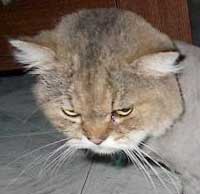 grrrrrrrrrrrrrrrrrrrrrr