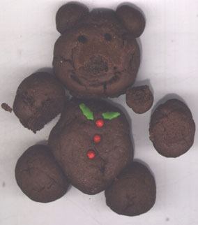 poor teddy